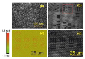 Fast method of speckle suppression for reflection phase microscopy