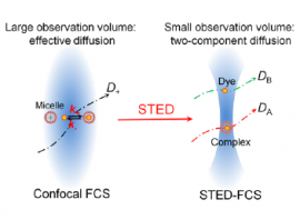 Nanoscopic Approach to Quantification of Equilibrium and Rate Constants of Complex Formation at Single-Molecule Level