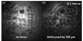 Crosstalk-free volumetric in vivo imaging of a human retina with Fourier-domain full-field optical coherence tomography