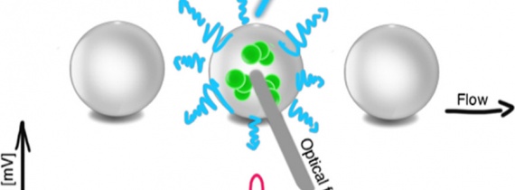 High-Throughput Monitoring of Bacterial Cell Density in Nanoliter Droplets: Label-Free Detection of Unmodified Gram-Positive and Gram-Negative Bacteria