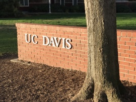 Working visit to Neurophotonics Laboratory, University of California Davis, USA