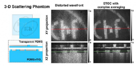 Spatio-Temporal Optical Coherence Imaging–a new tool for in vivo microscopy