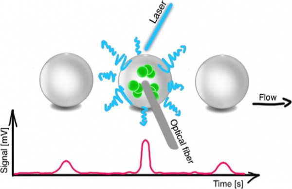 High-Throughput Monitoring of Bacterial Cell Density in Nanoliter Droplets: Label-Free Detection of Unmodified Gram-Positive and Gram-Negative Bacteria